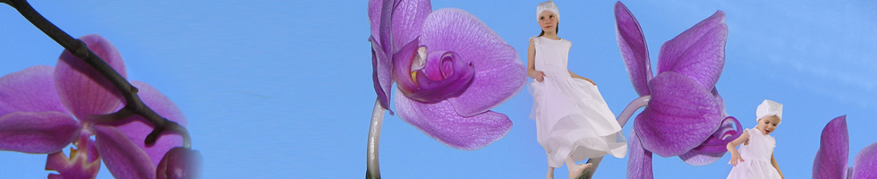 drzewko